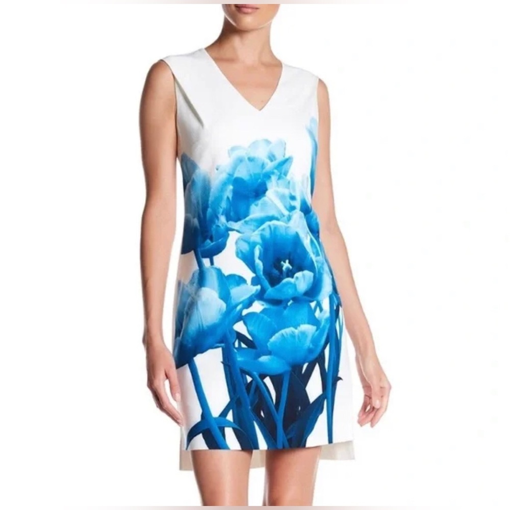 Ted Baker Jamina Tunic Dress in Blue Beauty Print